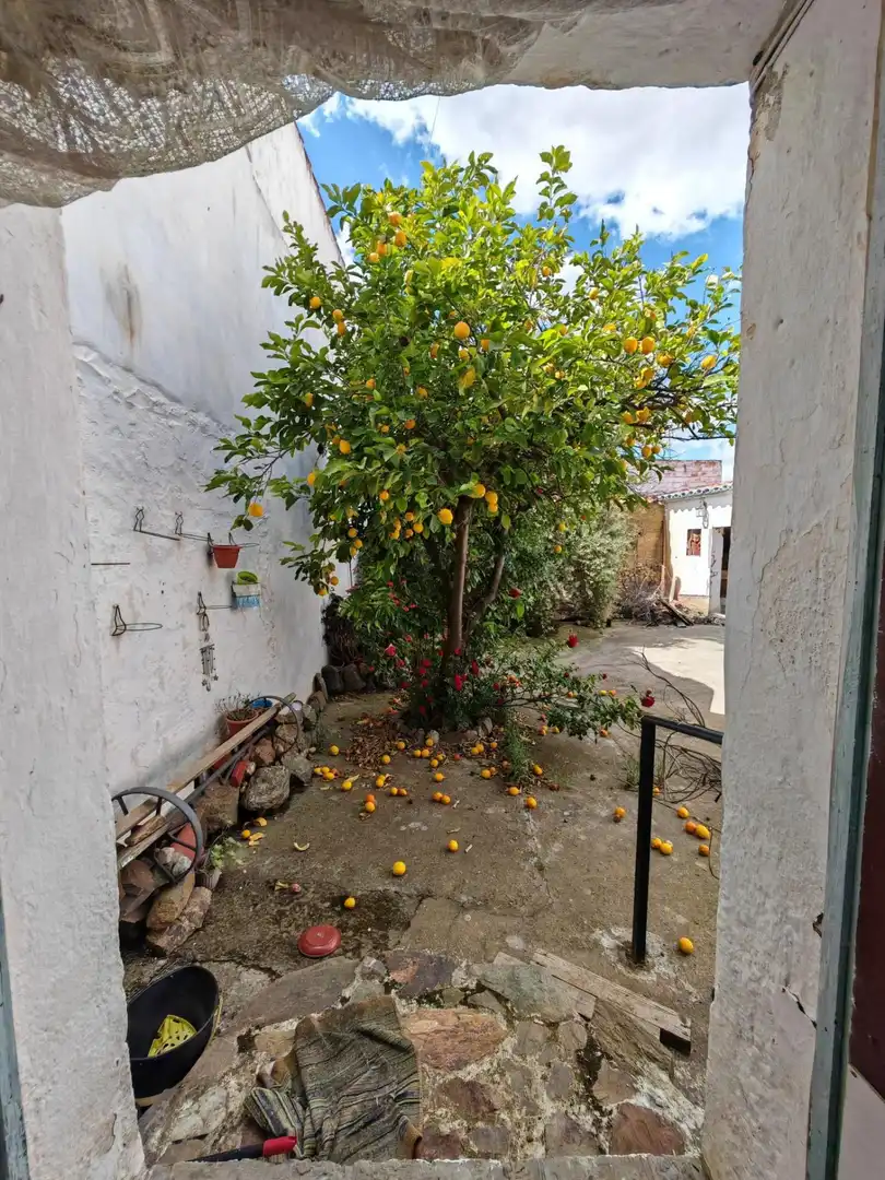 Jardín de Casa o chalet en venta en Puebla del Prior con Jardín privado