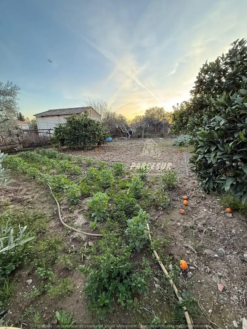 Casa o xalet en venda en Córdoba amb Aire condicionat, Calefacció i Jardí privat