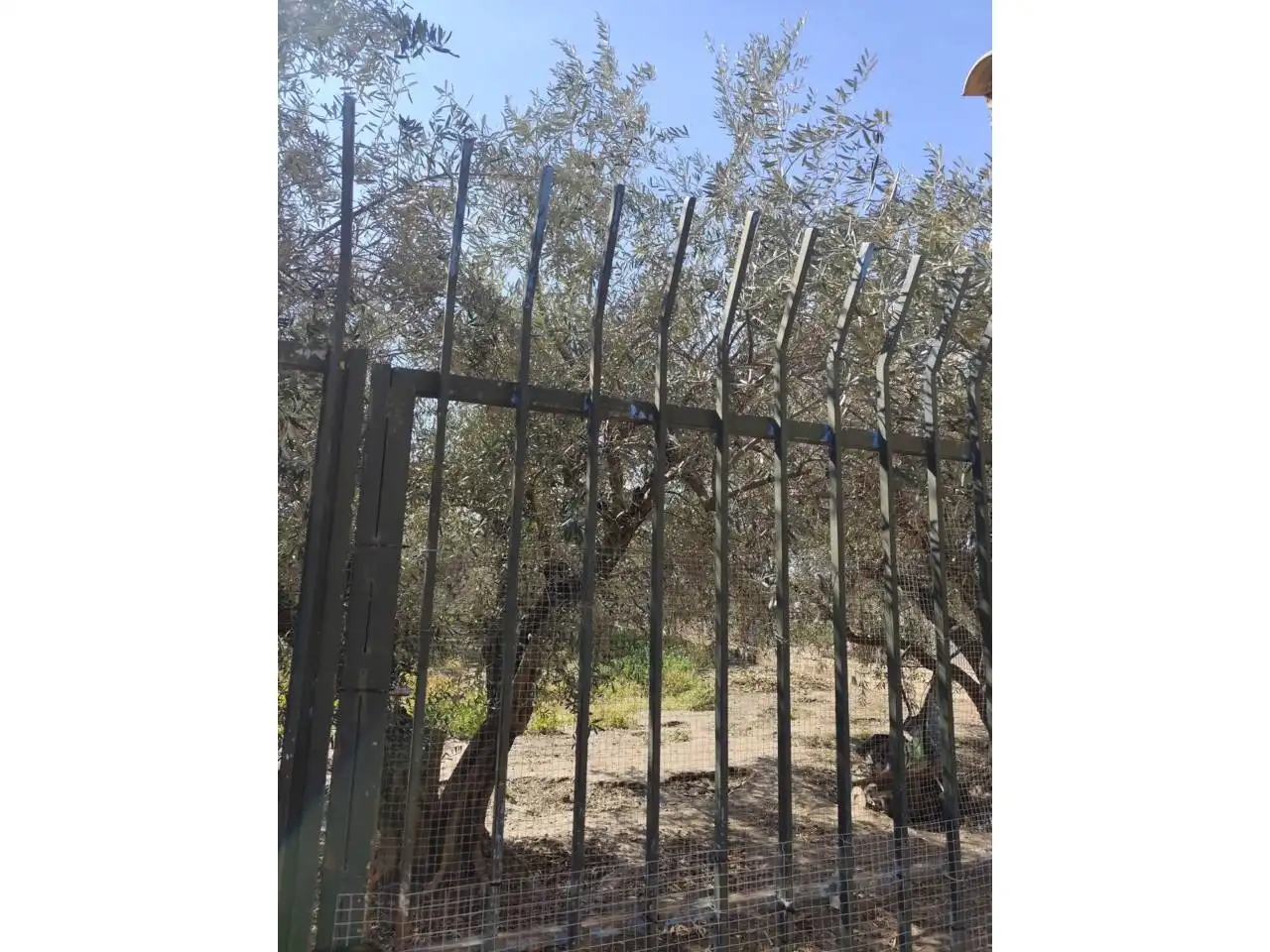 House with pool for sale in Calle ESCUNATA, imagen 5