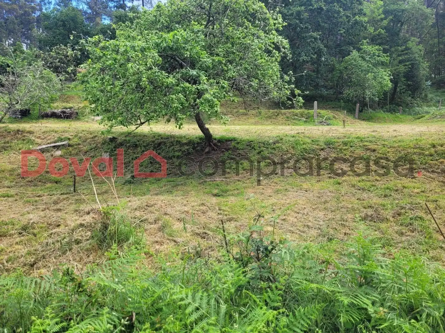 Terreny residencial en venda a Mos, imagen 10