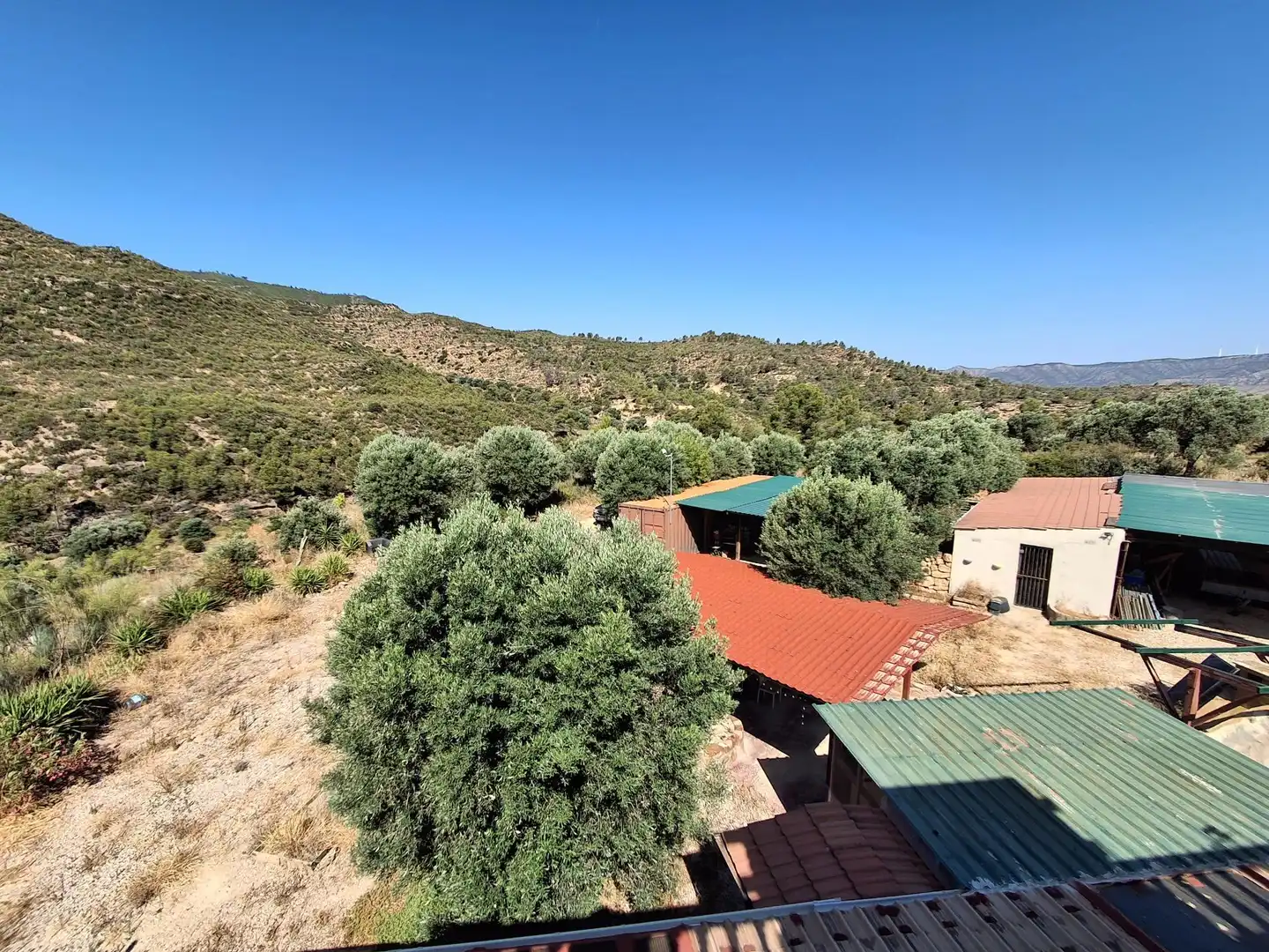 Terrassa de Finca rústica en venda en Riba-roja d'Ebre