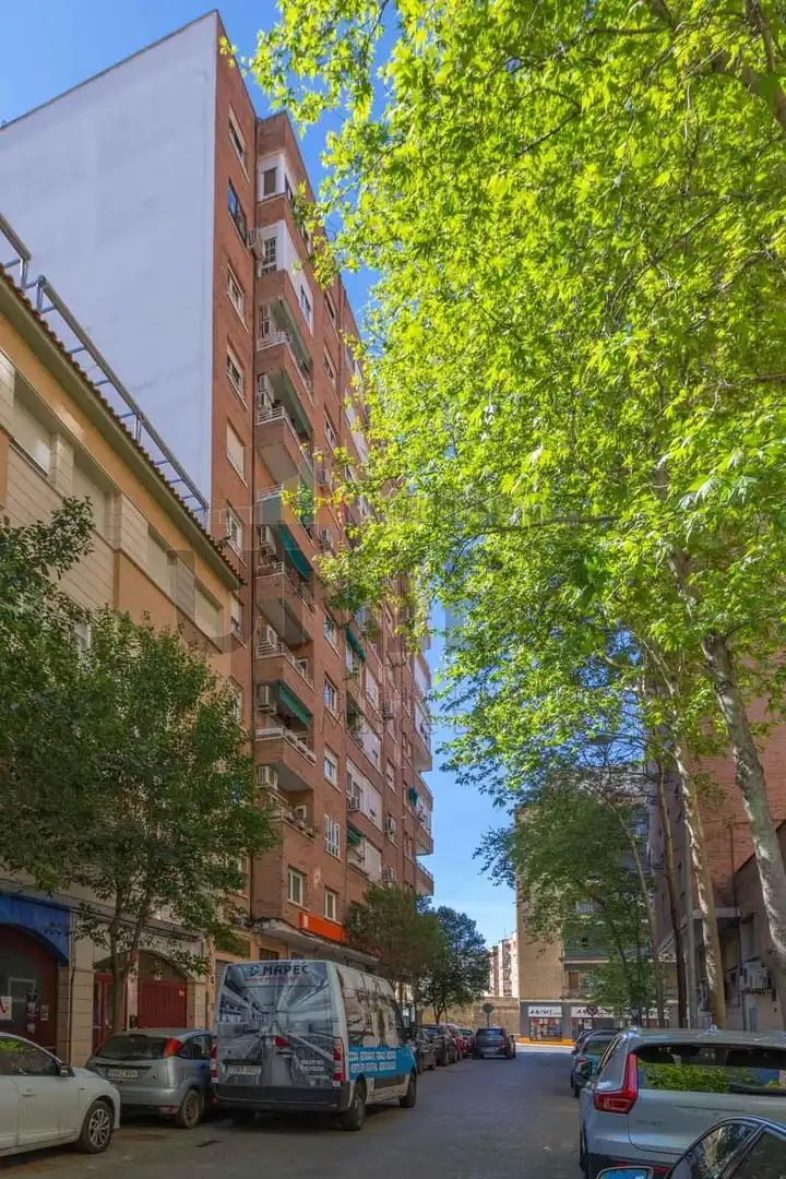 Piso con jardín en venta en Casco Antiguo, imagen 20