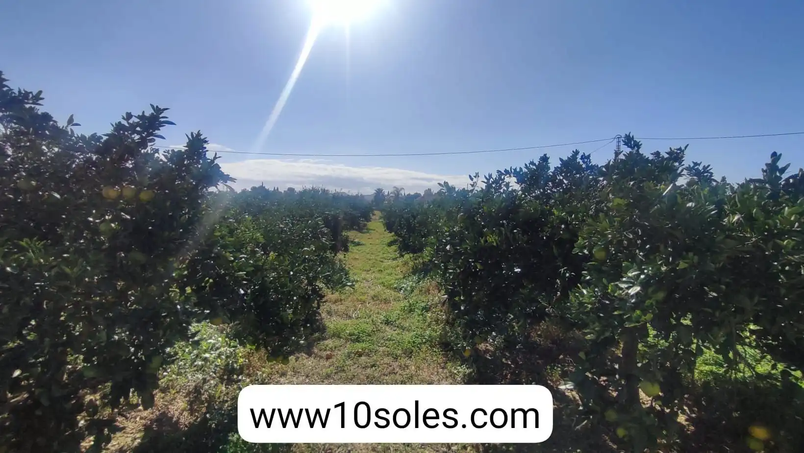 Terreno rustico in vendita a Jacarilla, imagen 10