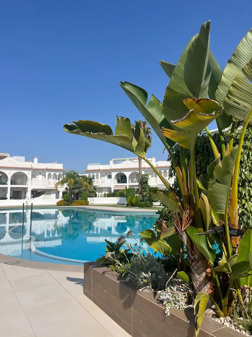Erdgeschosswohnung mit Pool zum Verkauf in Ciudad Quesada, imagen 26