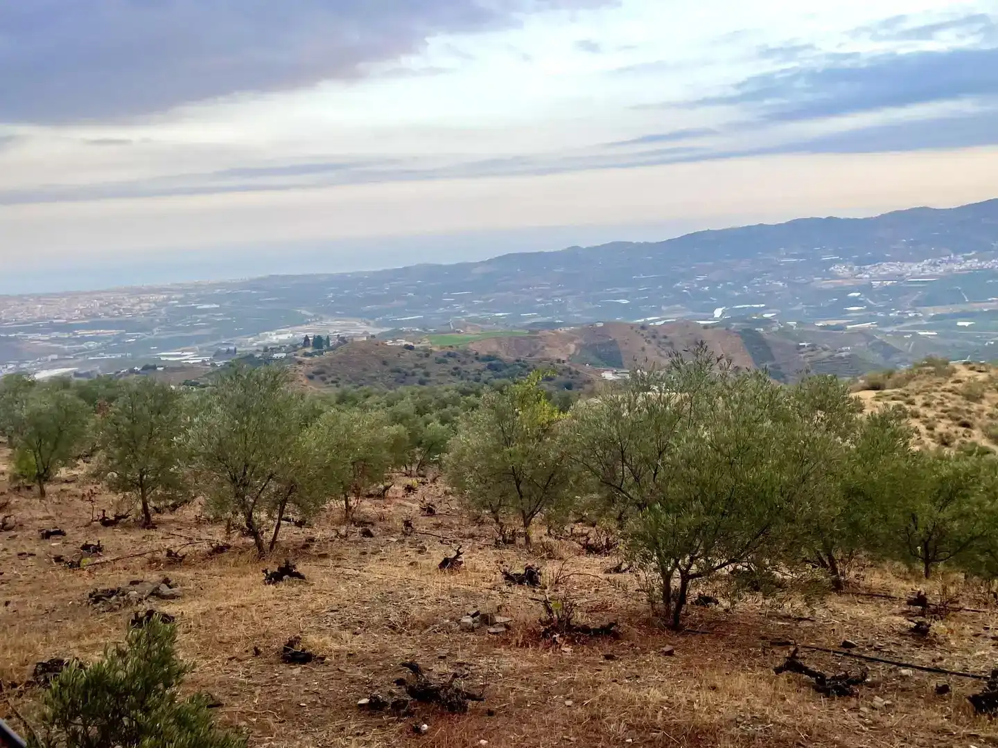 Finca rústica en venda en Vélez-Málaga amb Jardí privat, Parquet i Piscina