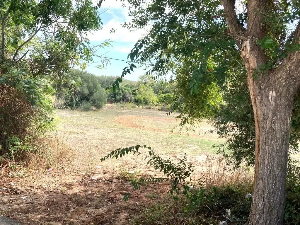 Residential land for sale in La Muela, imagen 3