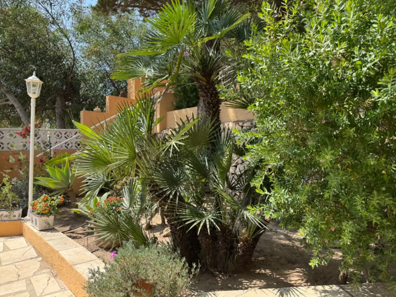 Chalet con jardín en venta en Cala Advocat - Baladrar, imagen 7