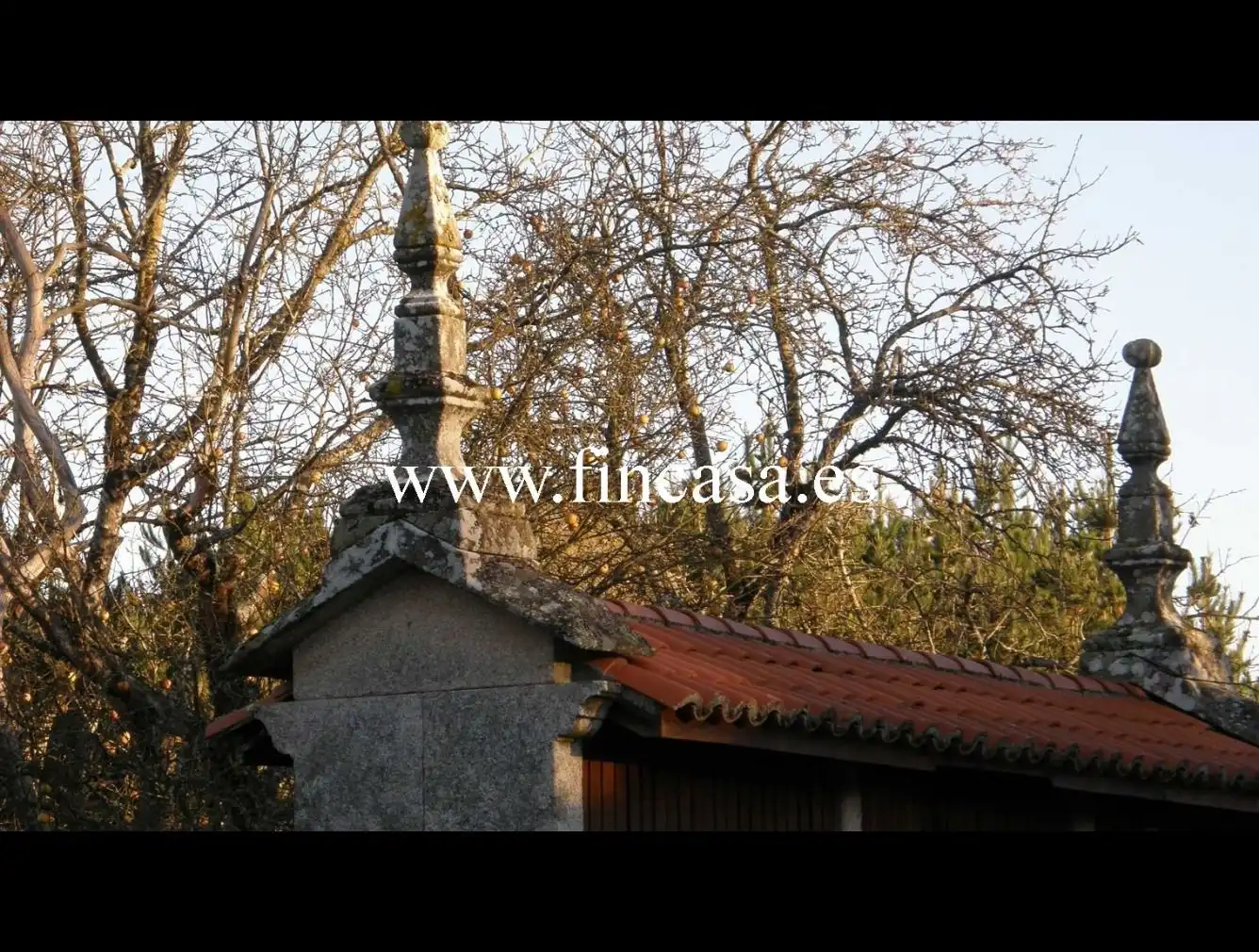 Vista exterior de Finca rústica en venta en Monterroso