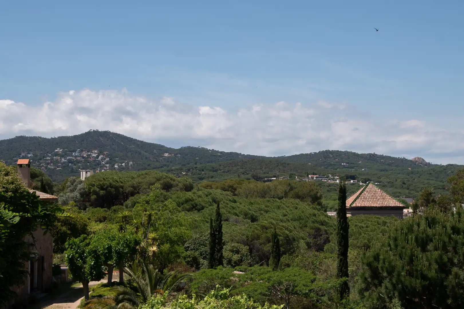 Jardí de Casa o xalet en venda en Sant Feliu de Guíxols amb Jardí privat, Terrassa i Traster