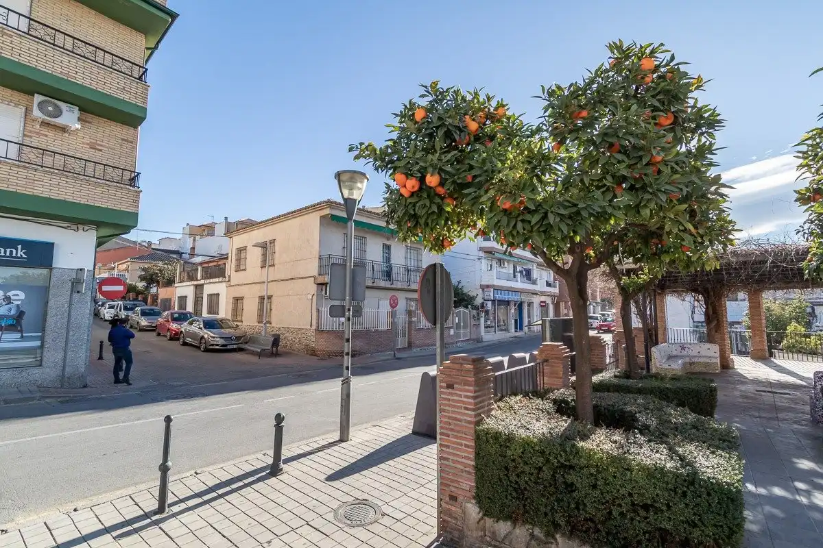 Maison à vendre à Calle Cañadilla 31, imagen 13