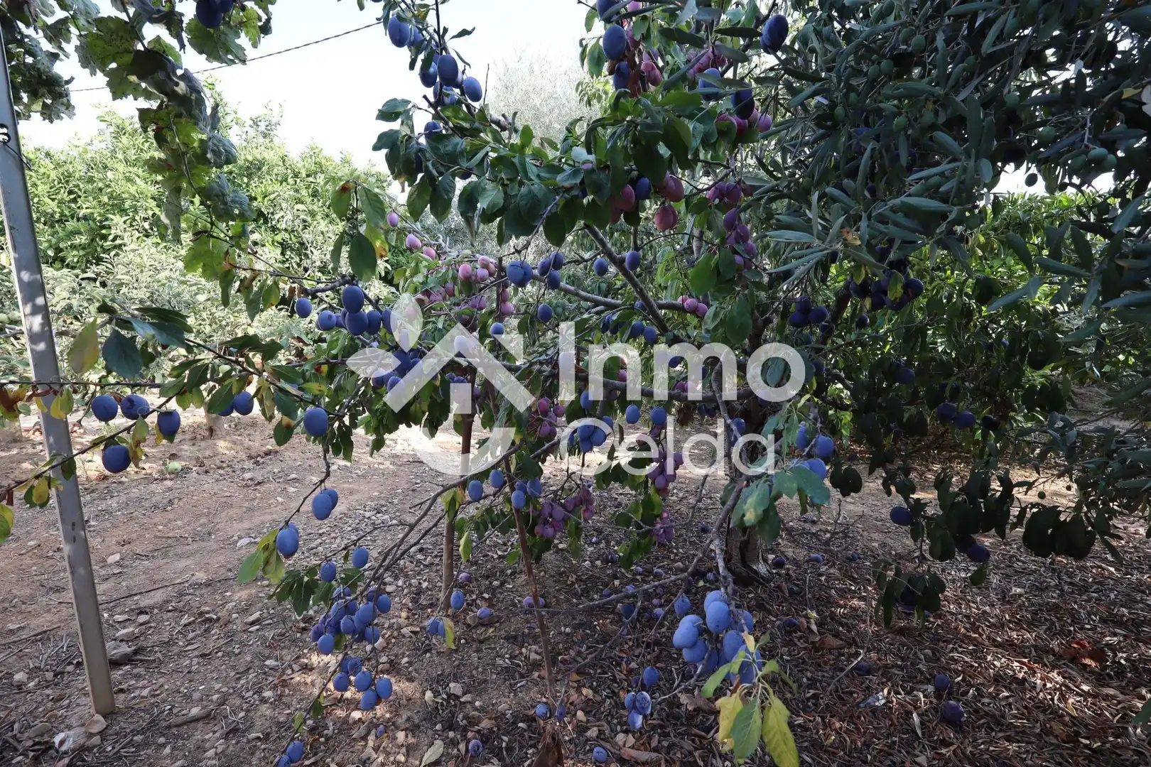 Casa o xalet en venda en Torrent amb Aire condicionat, Calefacció i Jardí privat