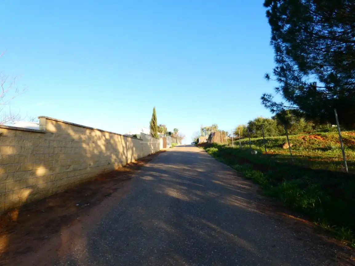 Vista exterior de Finca rústica en venta en Carmona con Piscina
