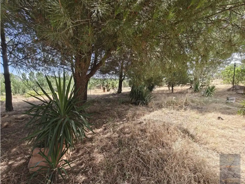 Villa con piscina in vendita a El Casar de Escalona, imagen 21