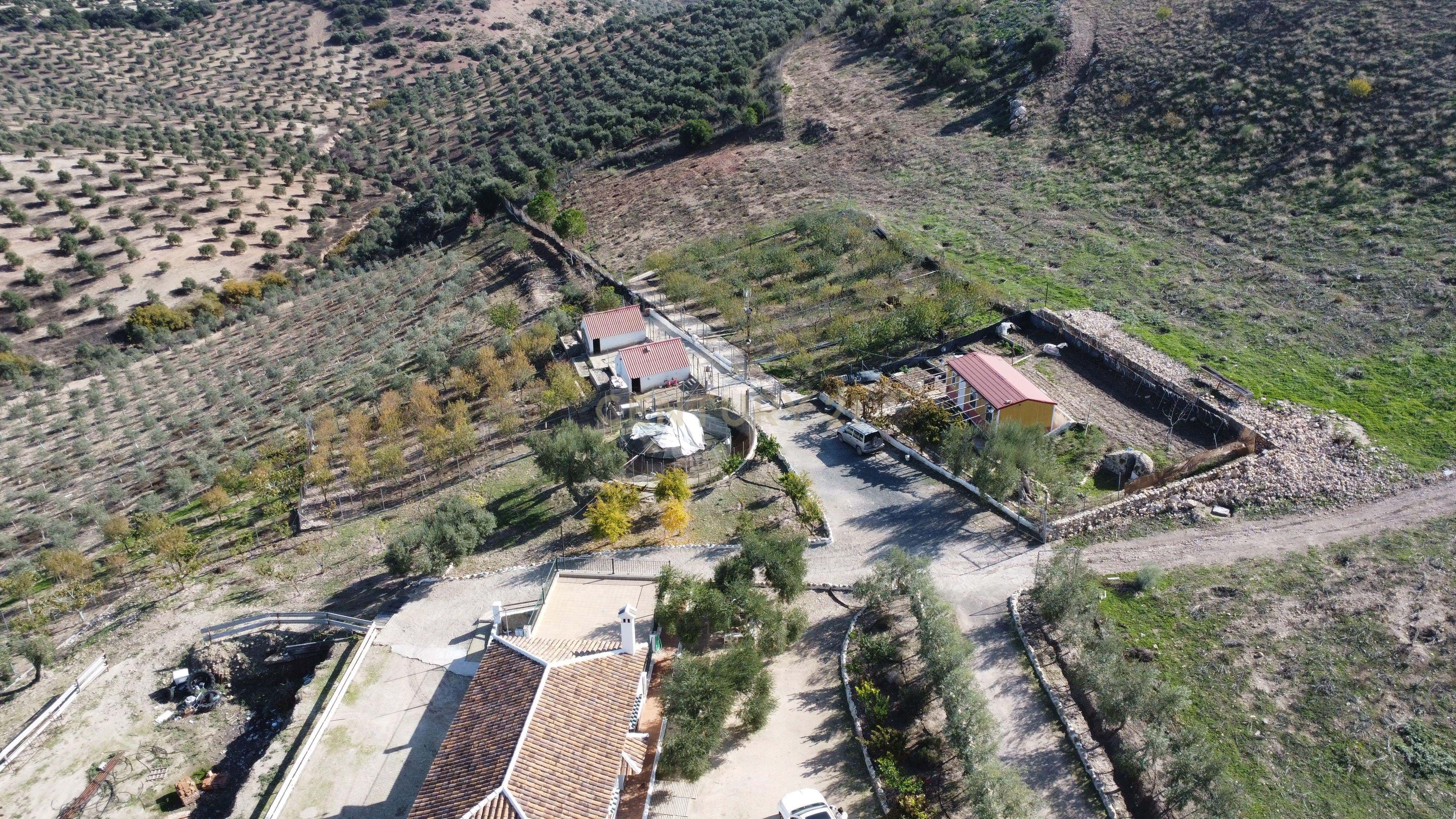Casa o xalet en venda en Osuna amb Moblat