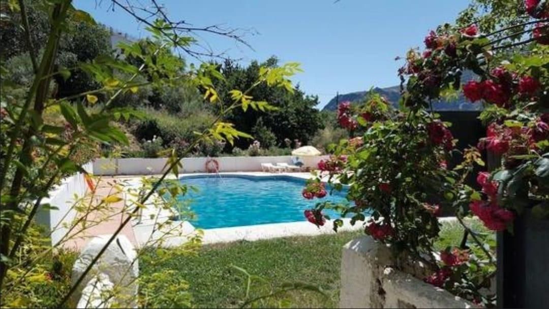 Swimming pool of Building for sale in La Taha