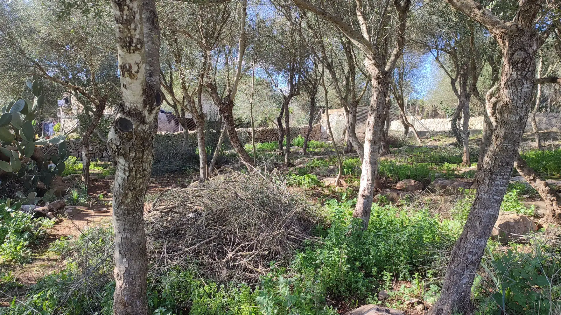 Rural land for sale in Vial Camino 316, imagen 10