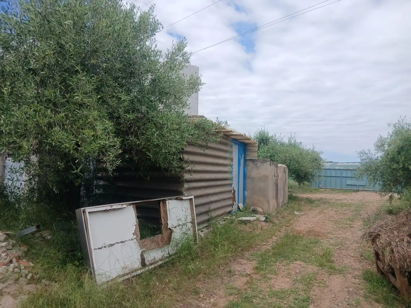 Finca rústica en venta en Benicarló con Amueblado y Alarma