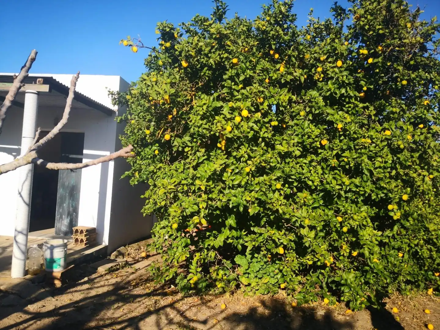 Terreno rustico in vendita a Barbate ciudad, imagen 7