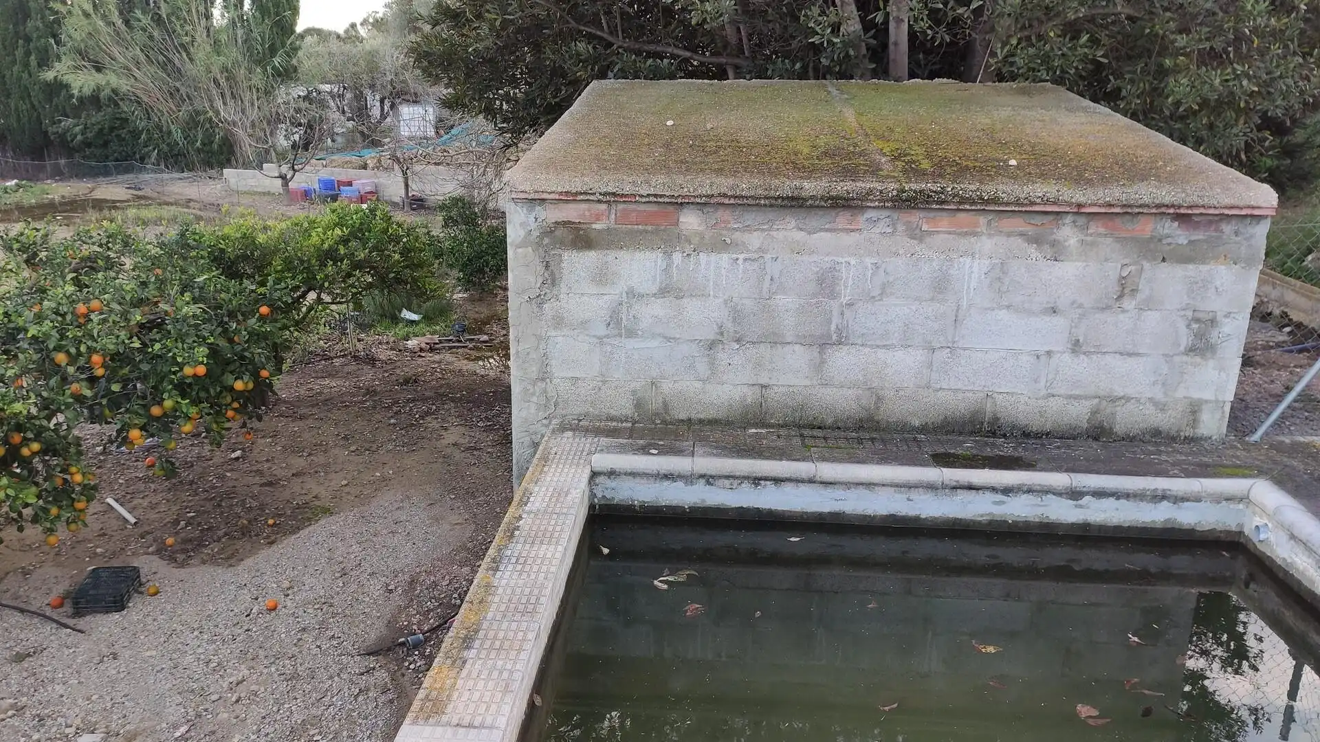 Piscina de Finca rústica en venta en Amposta