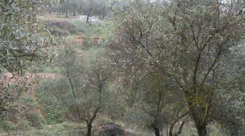 Finca rústica en Peligros  Ideal inversión o explotación agrícola, immagine 2