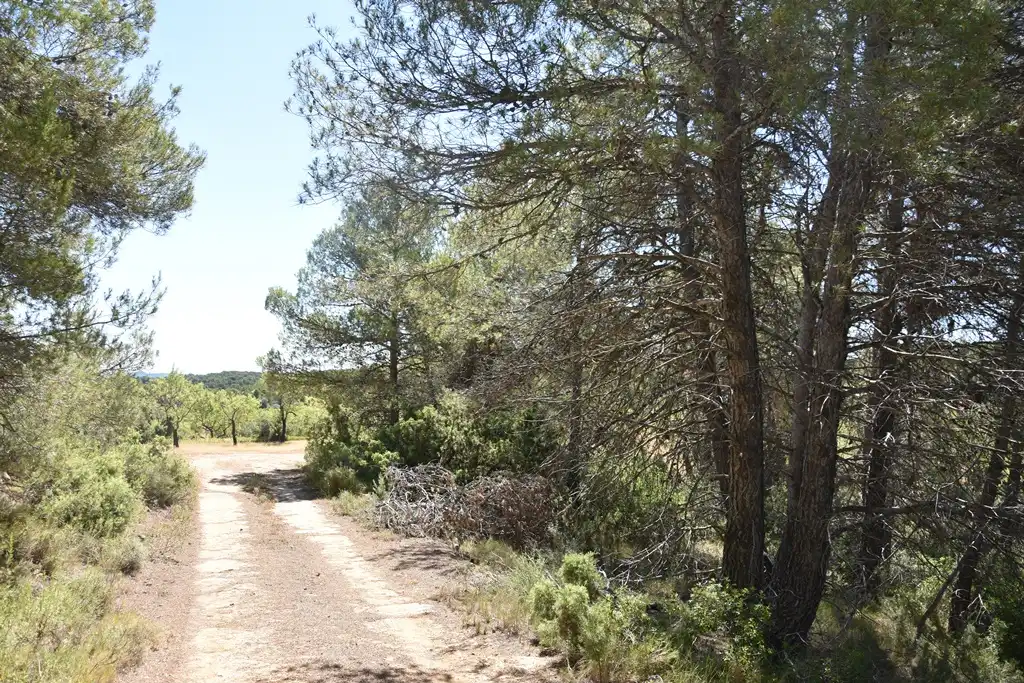 Terreno en venta en Arens de Lledó