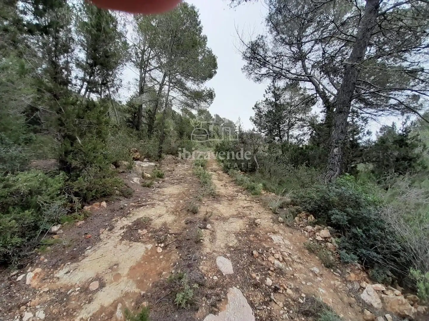 Casa o xalet en venda en Santa Eulària des Riu amb Jardí privat