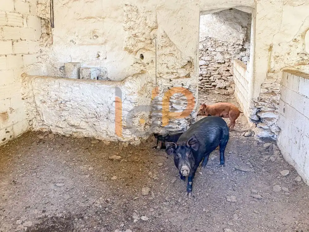 Haus zum Verkauf in Huércal-Overa, imagen 17