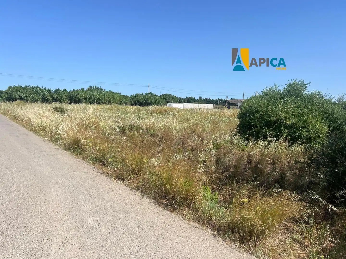 Rural land for sale in Barrio Nuevo, imagen 6