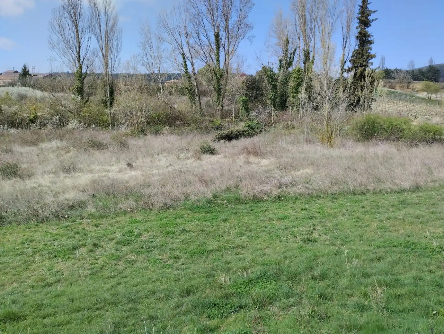 Houses for sale in Samaniego