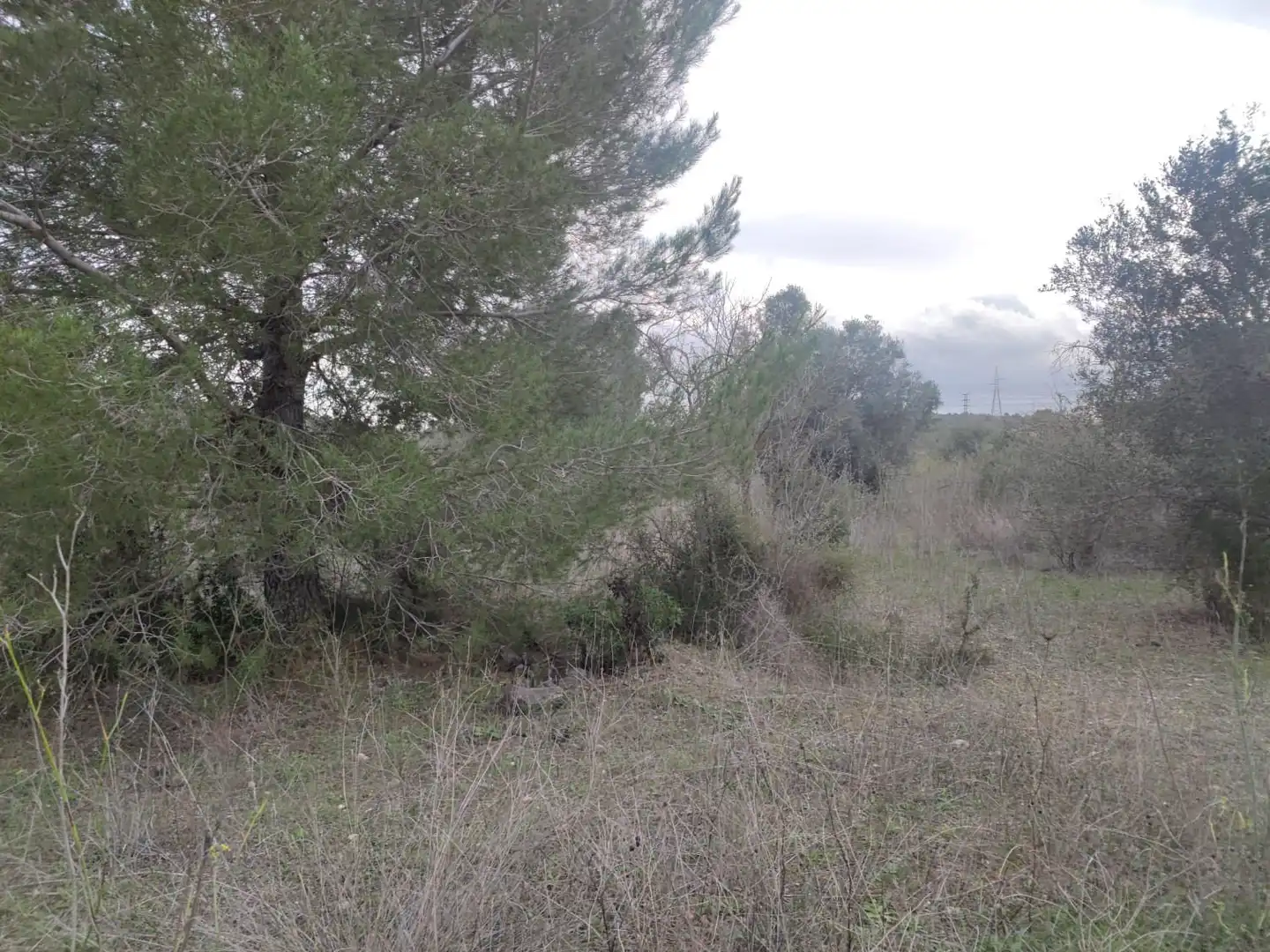 Maison rustique à vendre à Teulada, imagen 24