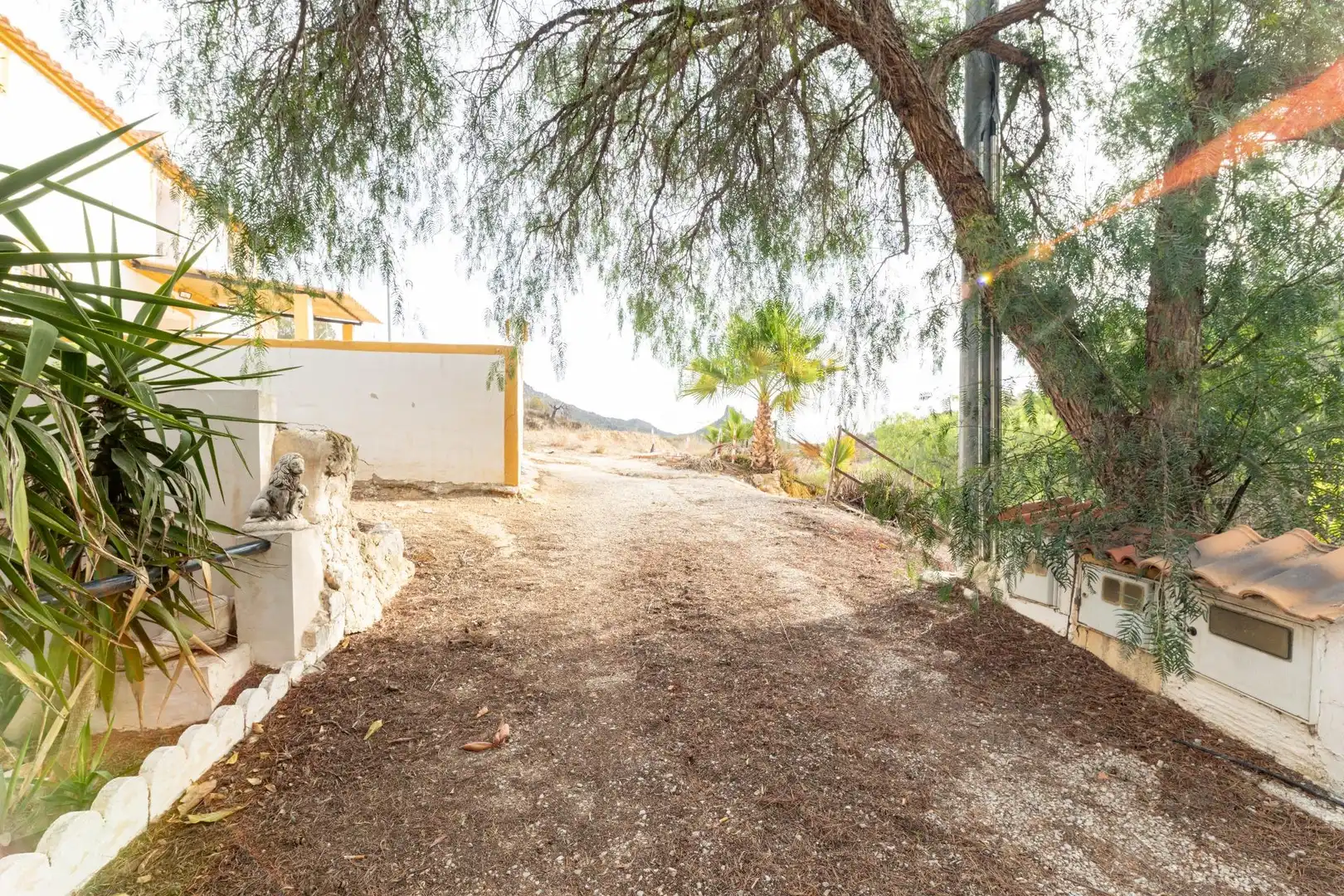 Vista exterior de Casa o chalet en venta en Ricote con Jardín privado, Terraza y Trastero