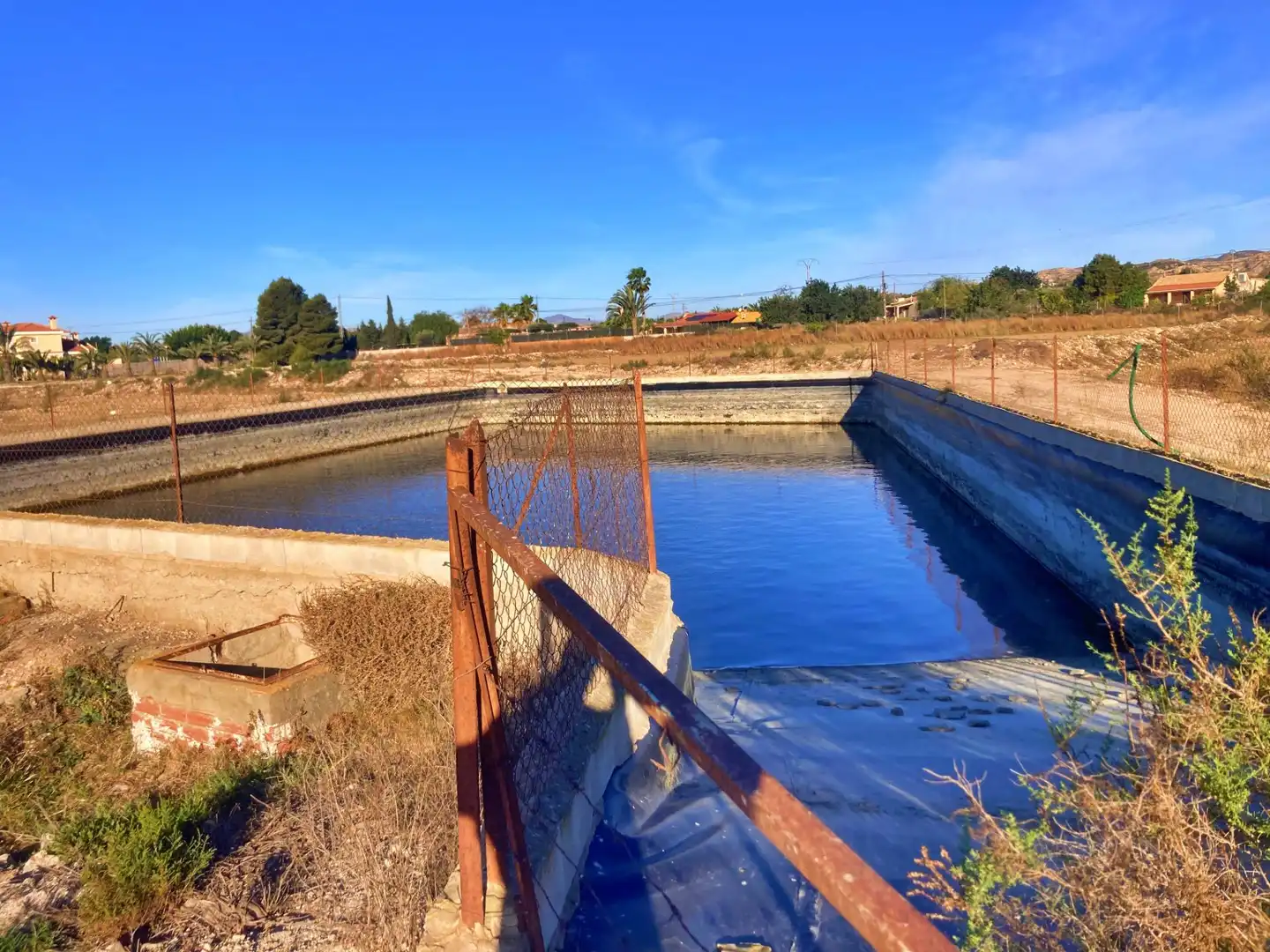 Piscina de Finca rústica en venta en Elche / Elx