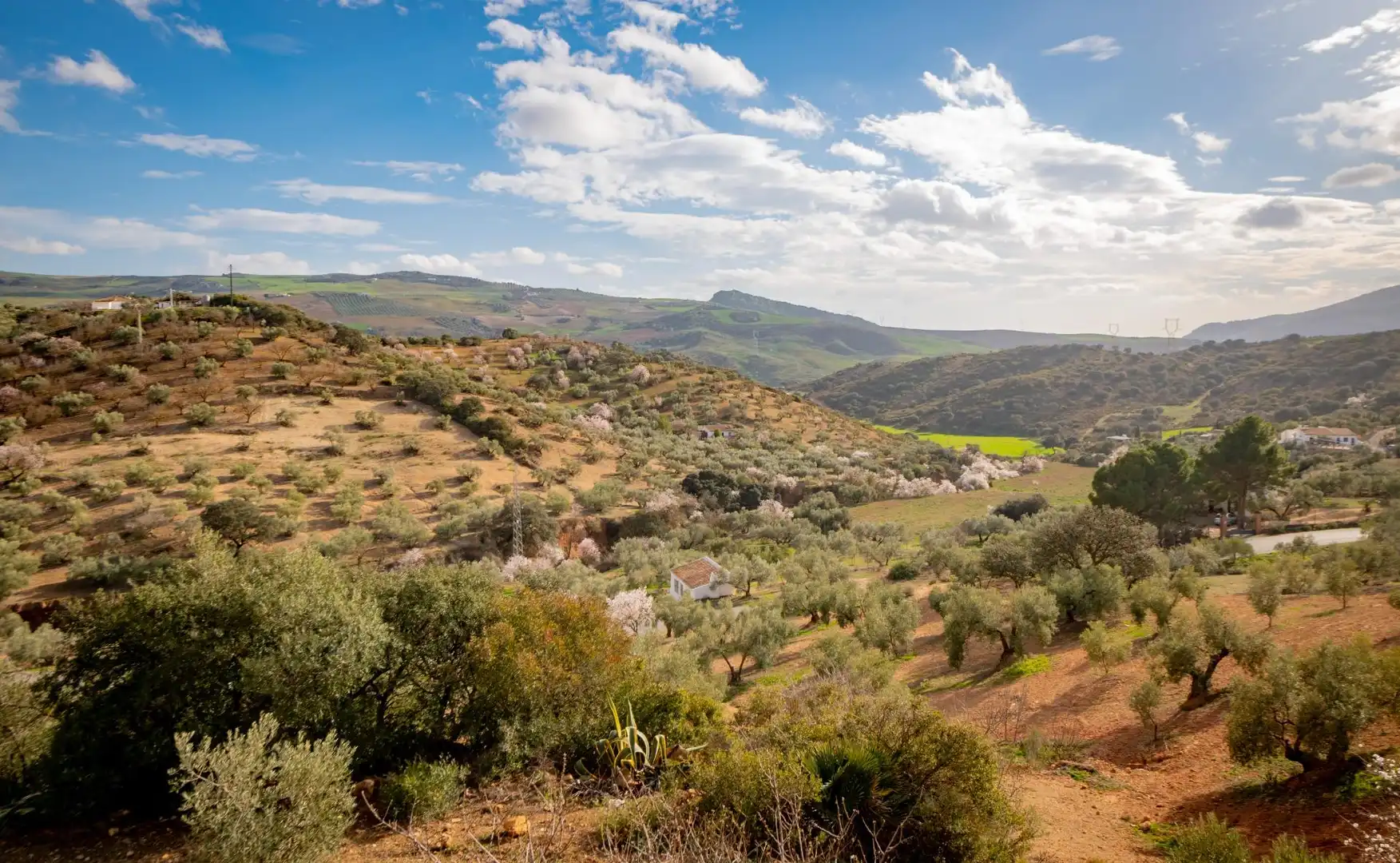 Vista exterior de Finca rústica en venta en Antequera