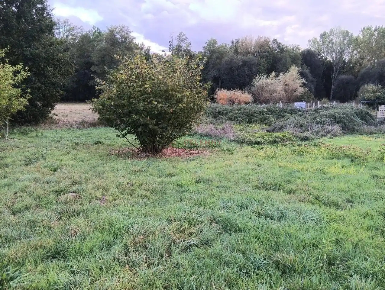 Rustikales Grundstück zum Verkauf in Amoeiro