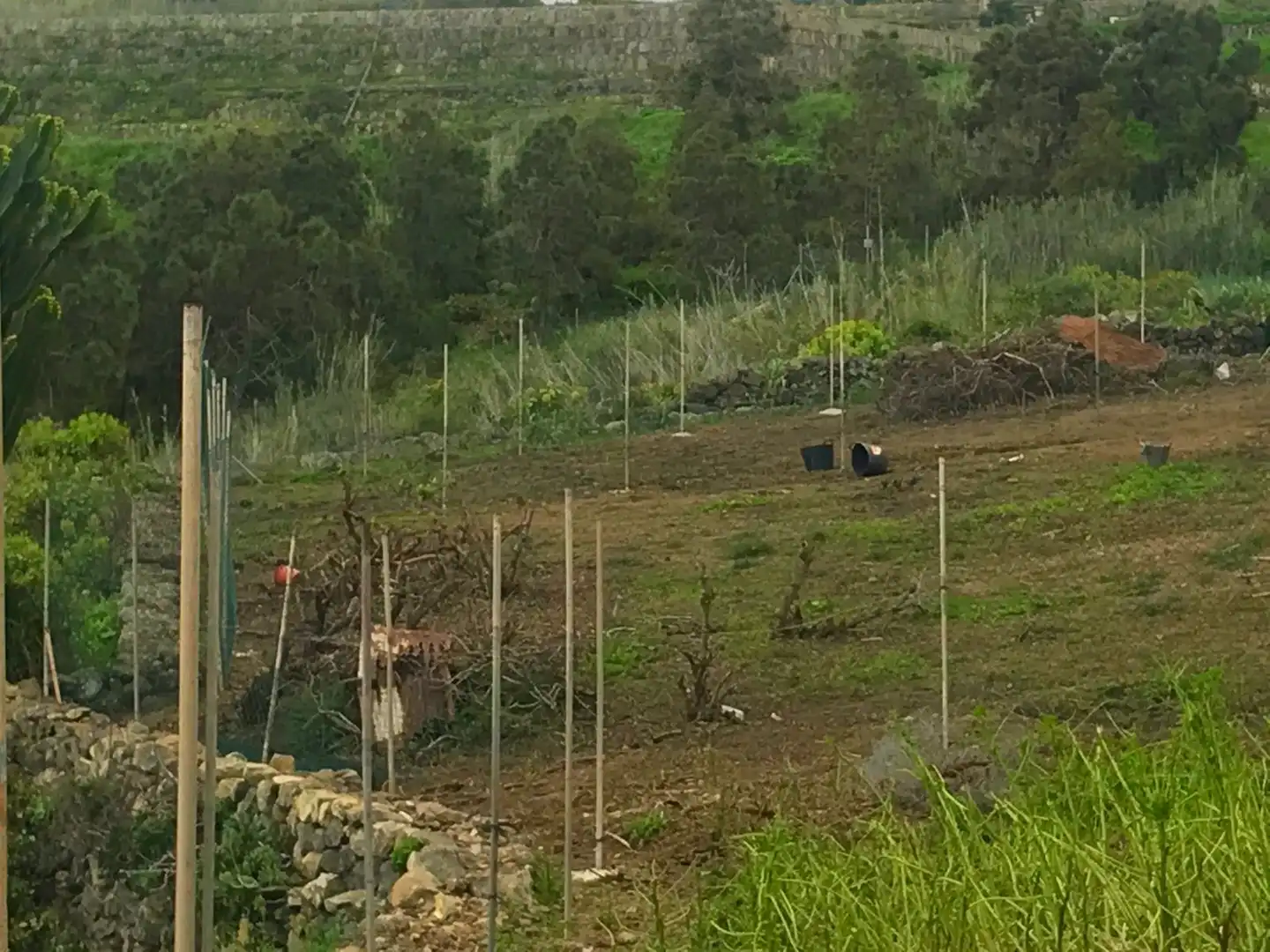 Finca rústica en venda en Moya (Las Palmas) amb Aire condicionat, Jardí privat i Terrassa