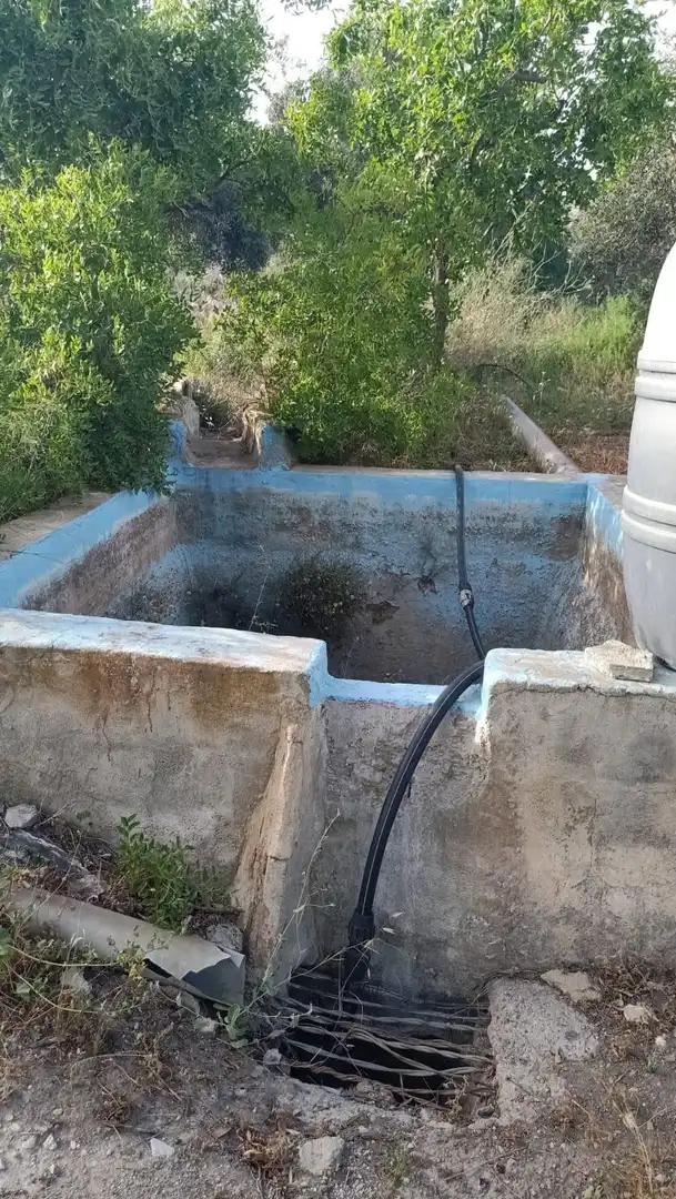 Garden of Country homes for sale in Lúcar  with Private garden and Storage room