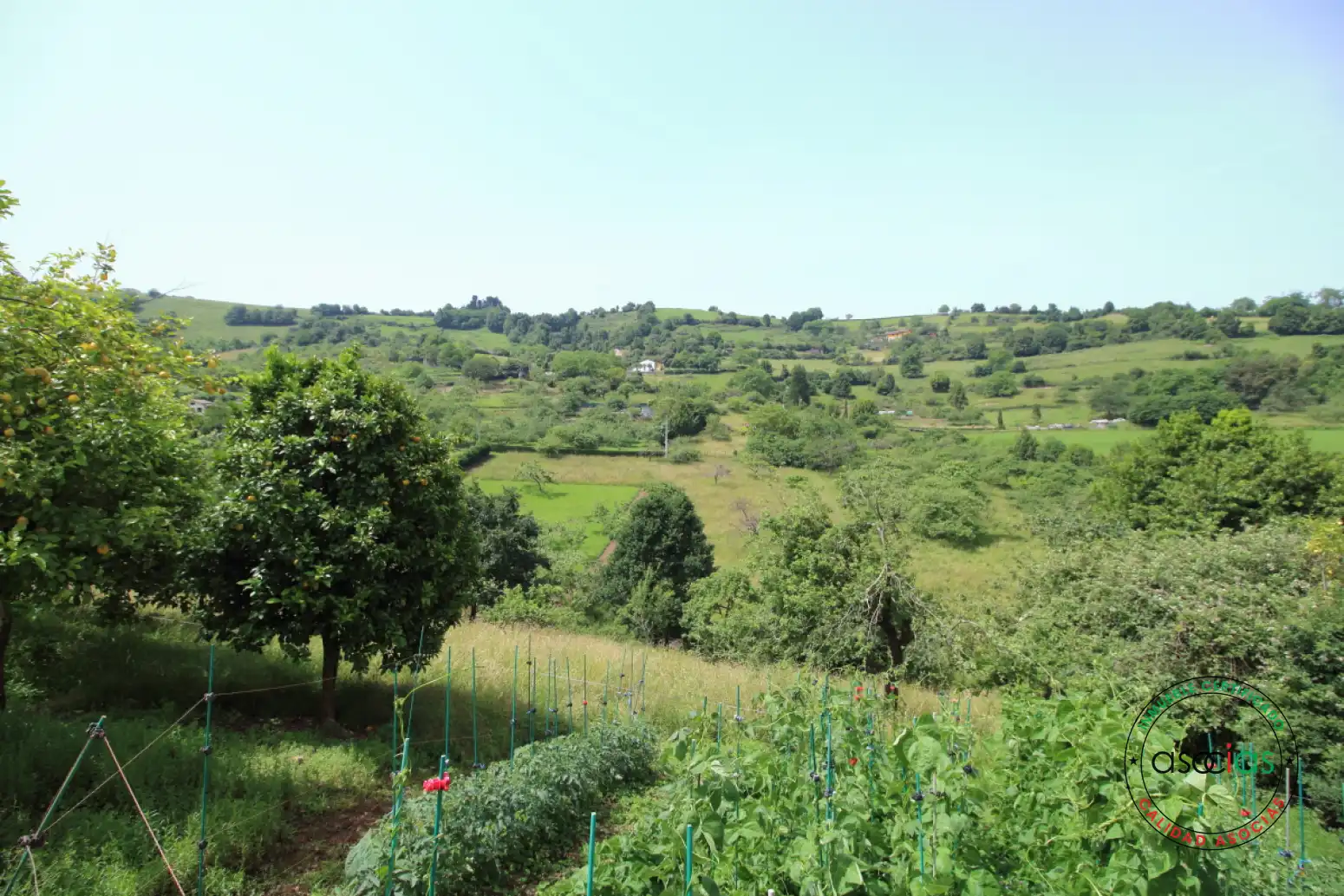 Terreny residencial en venda a Gijón - Camino del Regueru-Caldones, imagen 51