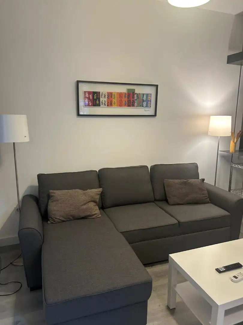 Living room of Apartments for rent in Granada  with Air Conditioner, Heating and Furnished