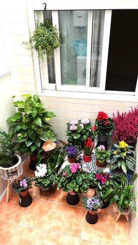 Piso en Venta en Carolinas Bajas