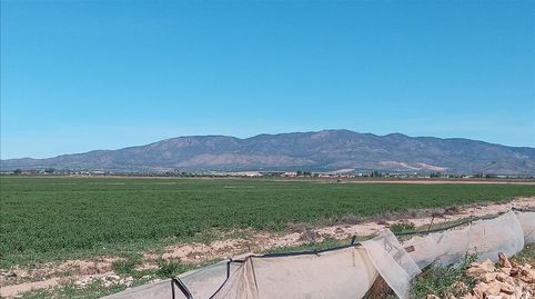 Foto 4 de Residencial en venta en 510. Parcela, Centro, Fuente Álamo de Murcia