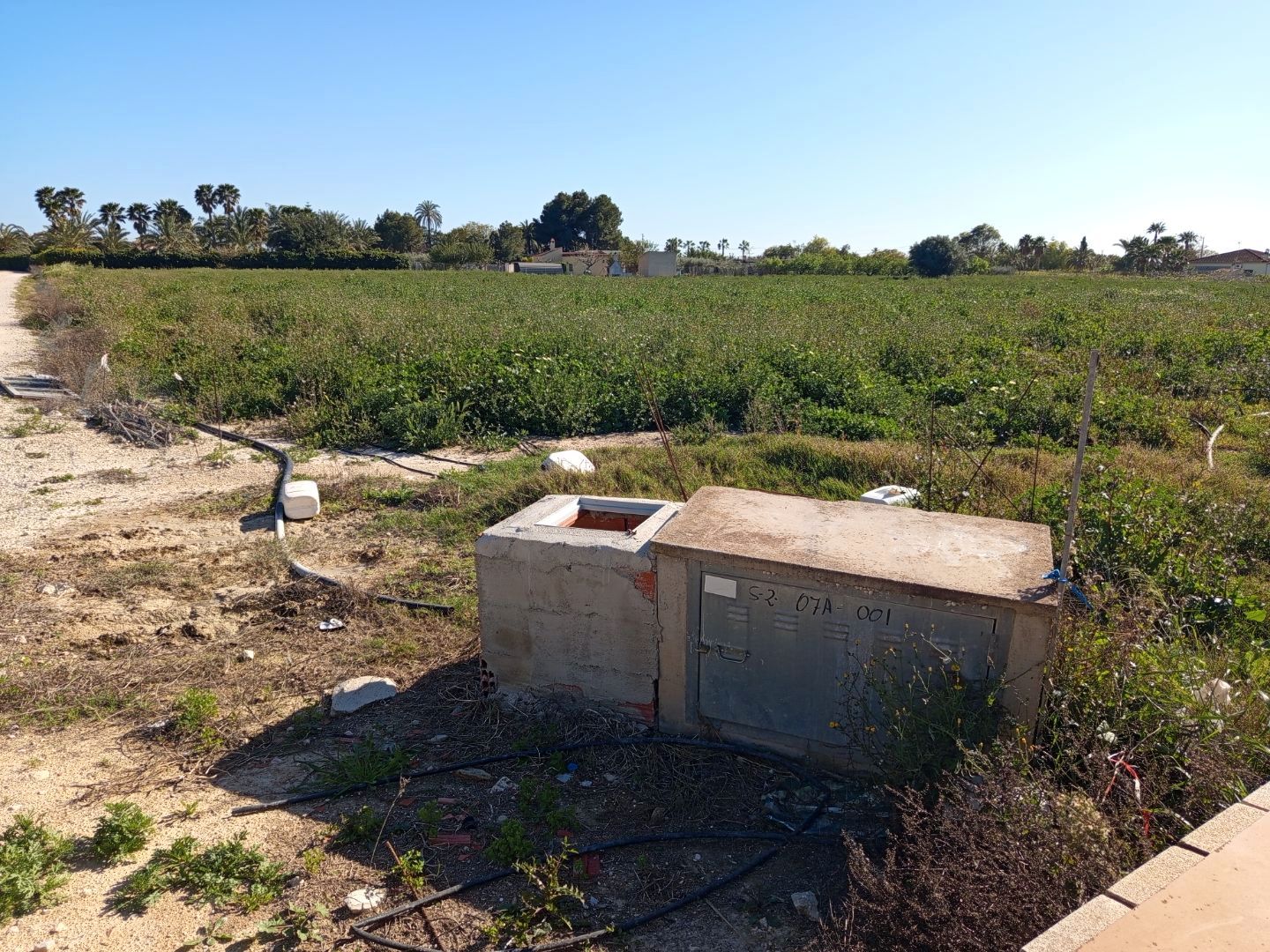 Grundstücke zur Miete in Elche / Elx