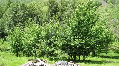 Foto 5 von Residential zum Verkauf in Puebla de la Sierra, Madrid