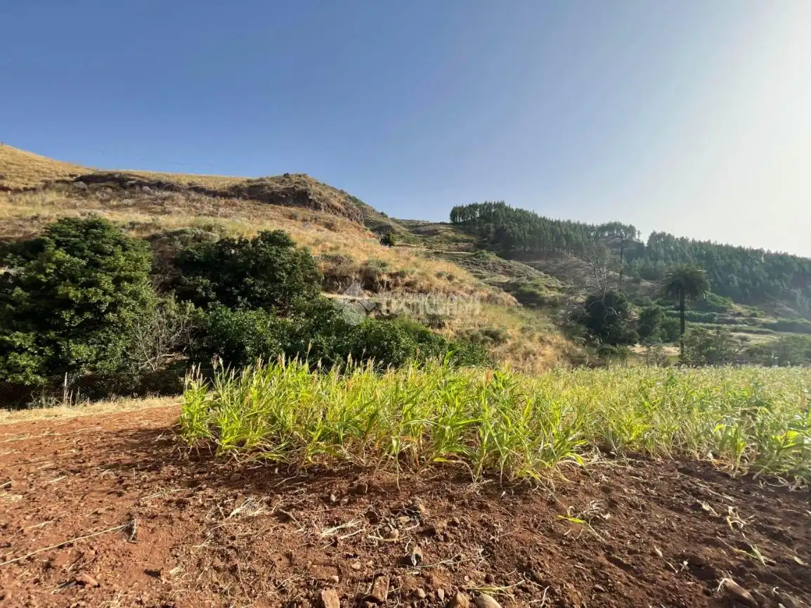 Terreno en venta en Gáldar