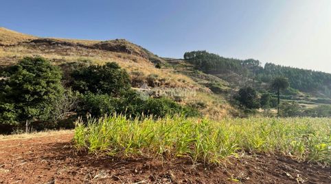 Foto 5 de Terreno en venta en Calle Gc-702, Saucillo - Fagajesto - Juncalillo, Gáldar