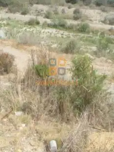 Industriegebäude zum Verkauf in Huércal-Overa, imagen 14
