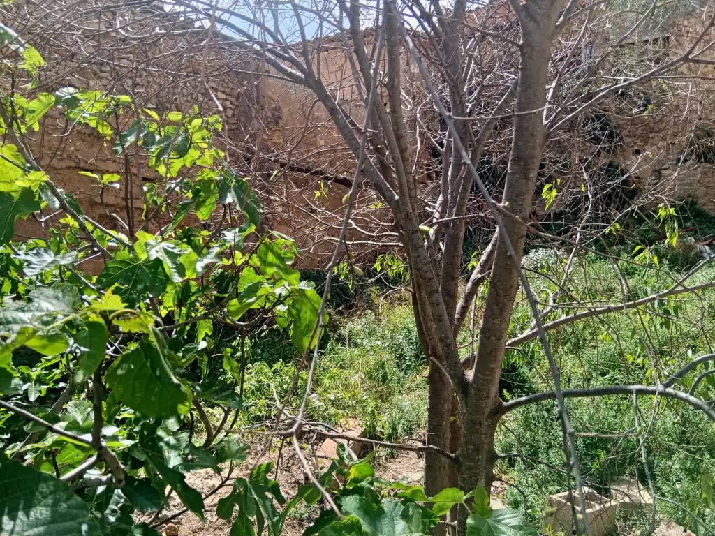 Residencial en venta en Calles