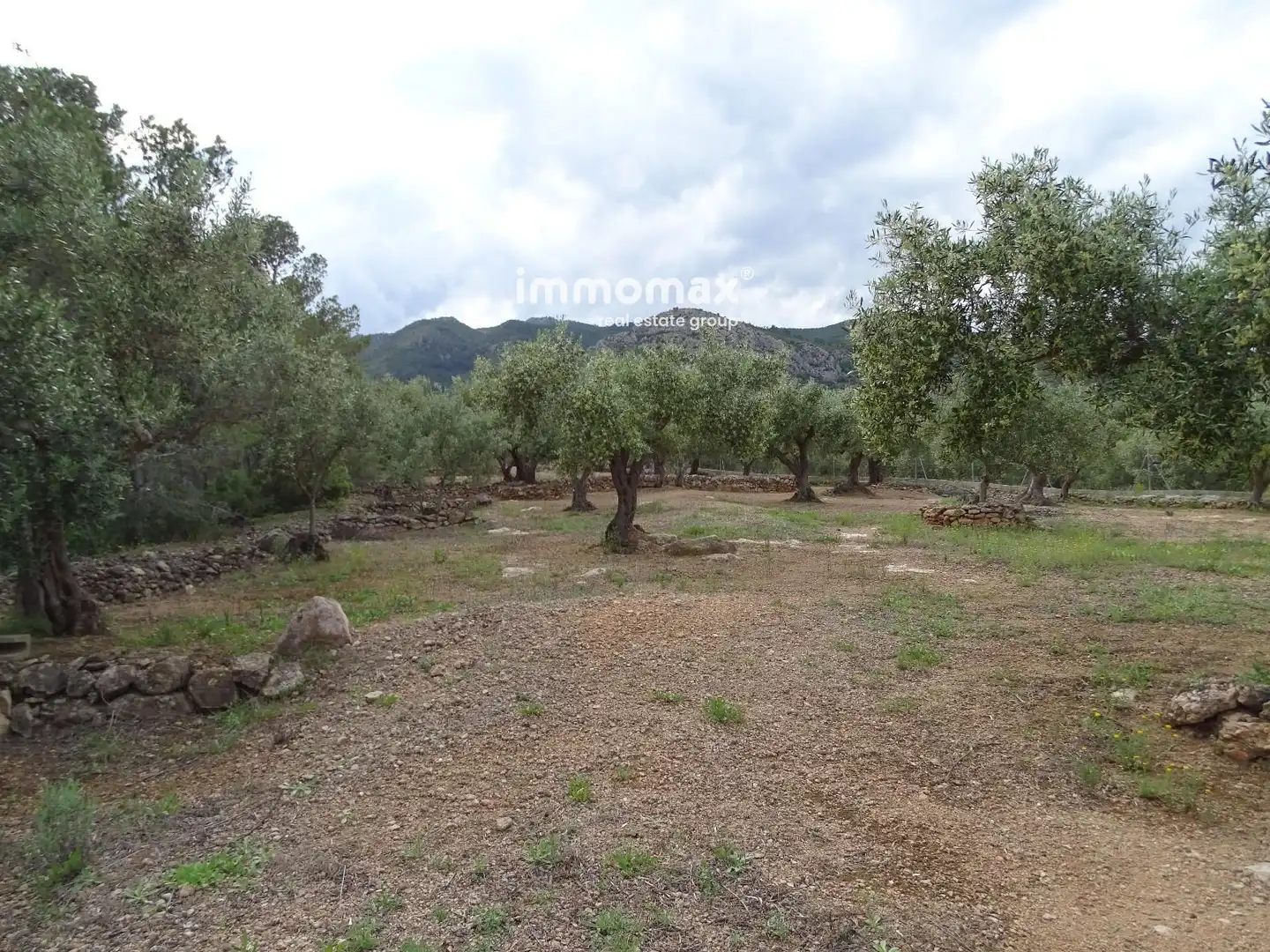 Terrain résidentiel à vendre à 16, imagen 20