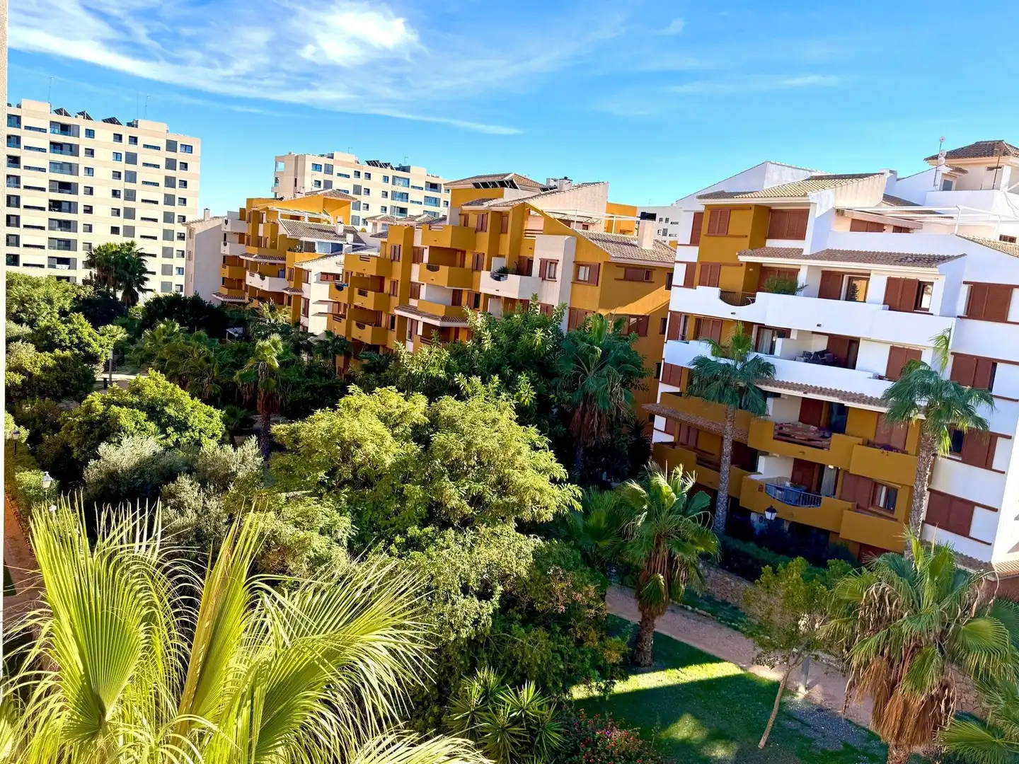 Vista exterior de Apartament en venda en Torrevieja amb Aire condicionat, Calefacció i Jardí privat