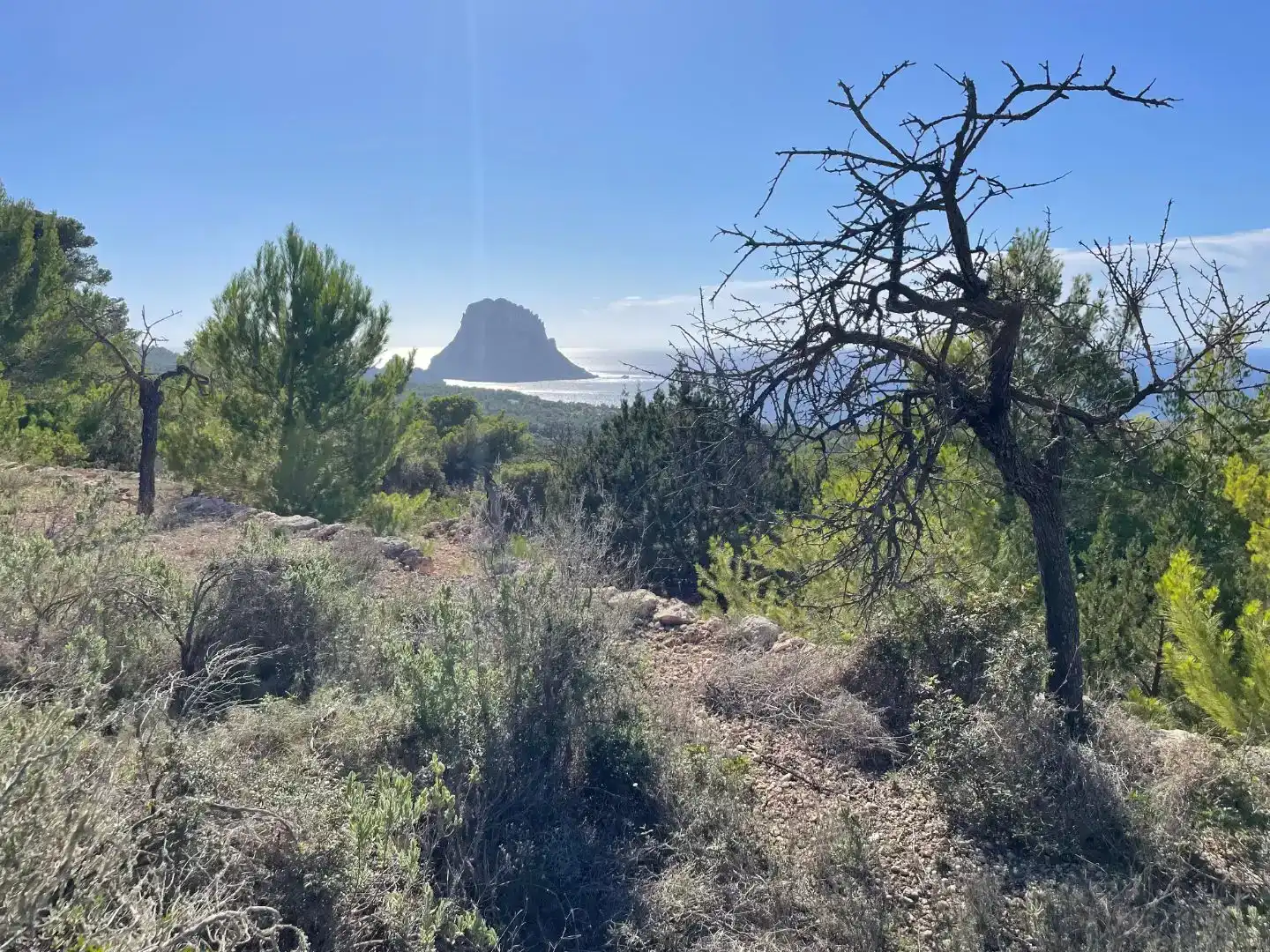Finca rústica en venda en Sant Josep de sa Talaia