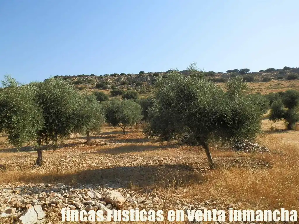 Terrenys i solars en venda a Almagro, imagen 21